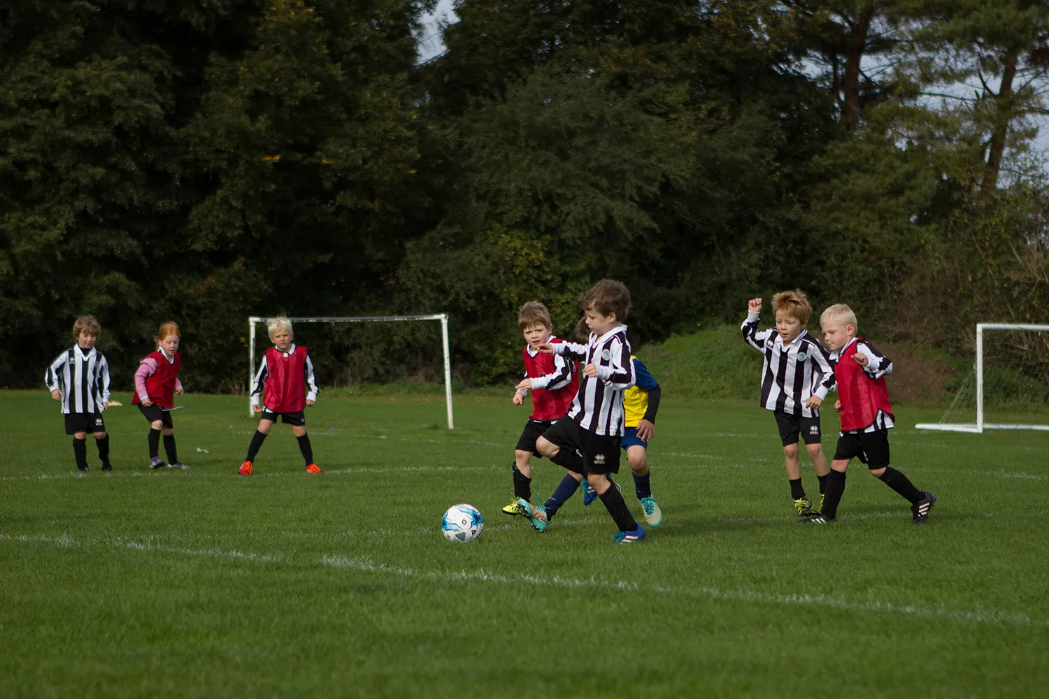Olney Town Colts DFC